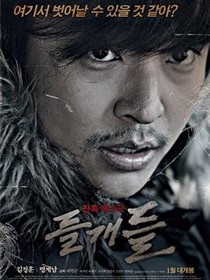 野狗们